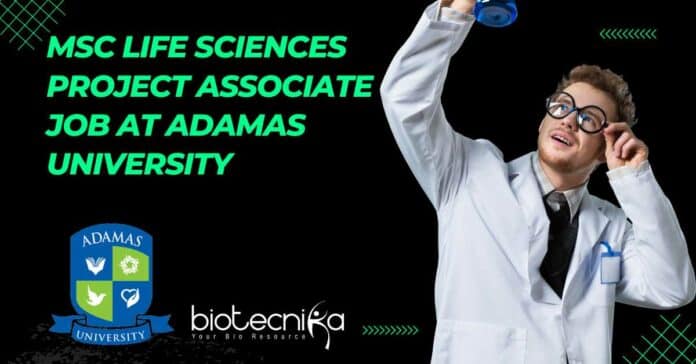 Adamas University