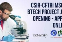 CSIR-CFTRI MSc & BTech Project Job Opening – Apply Online CSIR-CFTRI Project Post