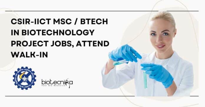 CSIR-IICT BTech Biotech Project Job