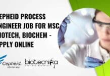Cepheid Process Engineer Job