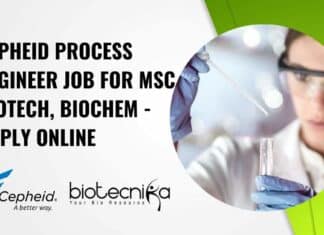 Cepheid Process Engineer Job