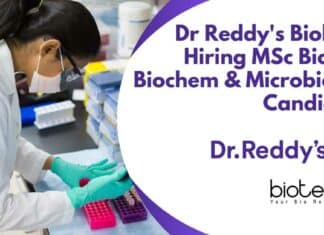 Dr Reddy's Biologics Hiring