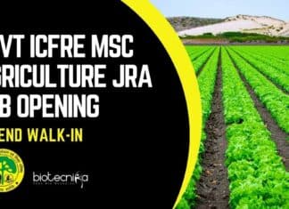 Govt ICFRE JRA Job