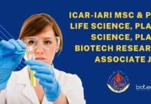 ICAR-IARI MSc & PhD Life Science, Plant Science, Plant Biotech Research Associate job IARI PhD Plant Biotech