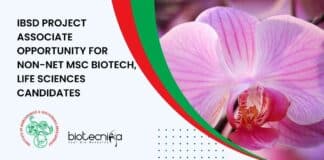 IBSD Project 2022 Vacancy