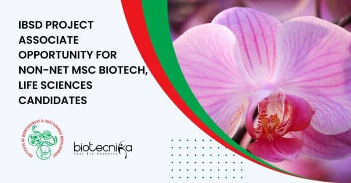 IBSD Project 2022 Vacancy