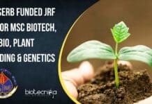 IARI SERB Funded JRF Job For MSc Biotech, Mol Bio, Plant Breeding & Genetics ICAR-IARI Research Vacancy