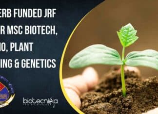 ICAR-IARI Research Vacancy