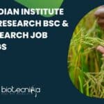 ICAR-IIRR BSc & MSc Research Job