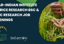 ICAR-Indian Institute of Rice Research BSc & MSc Research Job Openings ICAR-IIRR BSc & MSc Research Job