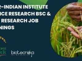 ICAR-IIRR BSc & MSc Research Job