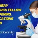 IIT Bombay Research Fellow Job Opening, Applications Invited IIT Bombay Research Fellow Job