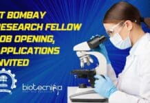 IIT Bombay Research Fellow Job Opening, Applications Invited IIT Bombay Research Fellow Job