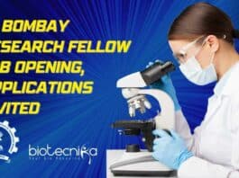 IIT Bombay Research Fellow Job