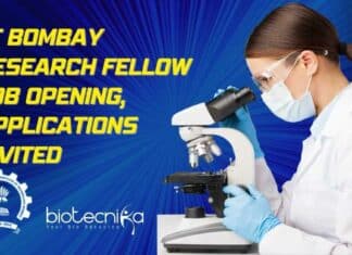 IIT Bombay Research Fellow Job