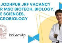 IIT Jodhpur JRF Vacancy For MSc Biotech, Biology, Life Sciences, Microbiology IIT Jodhpur JRF Vacancy