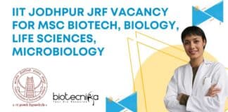 IIT Jodhpur JRF Vacancy
