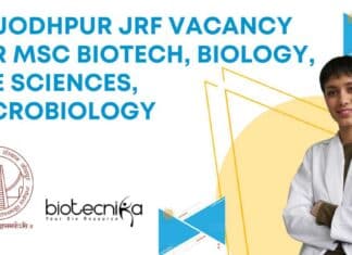IIT Jodhpur JRF Vacancy