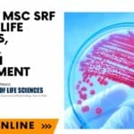 Govt ILS MSc SRF Job For Life Sciences, Biotech, Biochem Recruitment, Apply Online ILS SRF Post 2022