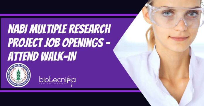 NABI Multiple Research Project Job
