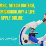 NCL Project 2022 Jobs