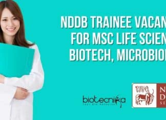 NDDB Trainee Vacancies