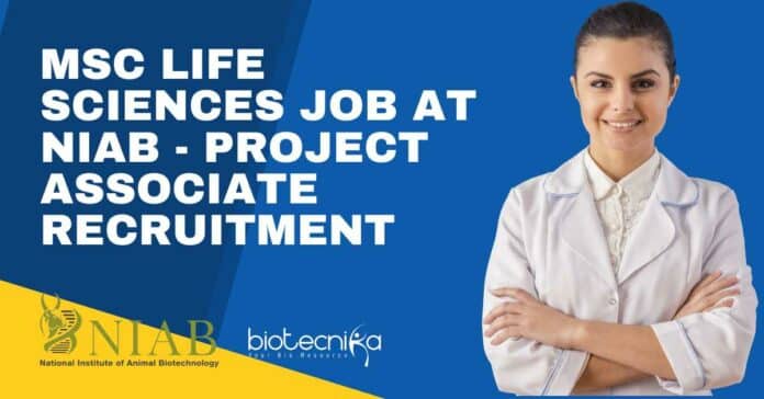NIAB MSc Job Opening