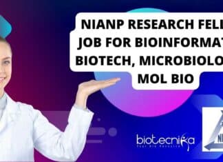 NIANP Research Fellow Job