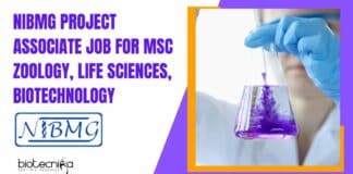 NIBMG Project Associate Job