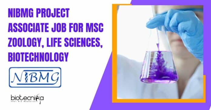 NIBMG Project Associate Job