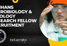 NIMHANS Microbiology & Virology Research Fellow Recruitment NIMHANS Virology Job 2022