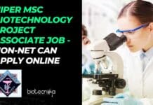 NIPER MSc Biotechnology Project Associate Job – NON-NET Can Apply Online NIPER MSc Biotechnology Project Associate