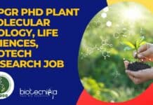 NIPGR PhD Plant Molecular Biology, Life Sciences, Biotech Research Job NIPGR PhD Vacancy 2022