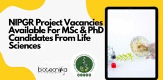 NIPGR Project 2022 Vacancies