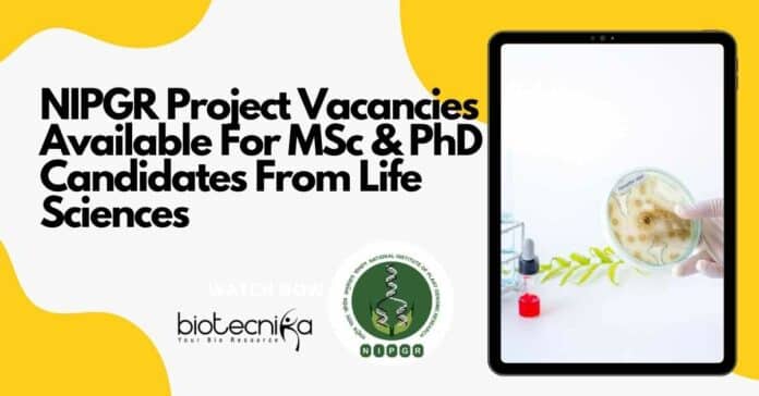 NIPGR Project 2022 Vacancies