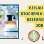 PJTSAU Biotech, Biochem & Genetics Research Fellow Job Opening PJTSAU Biotech
