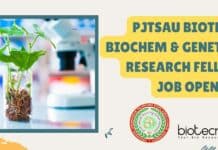 PJTSAU Biotech, Biochem & Genetics Research Fellow Job Opening PJTSAU Biotech