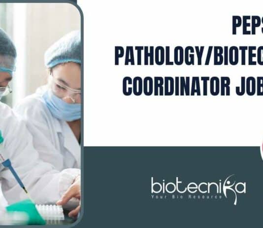 Pepsico MSc Pathology/Biotechnology Coordinator Job Opening Pepsico SC Job Opening