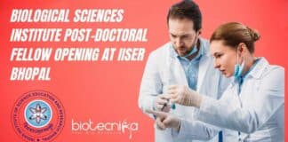 PhD Biological Sciences Job