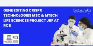 RCB Project JRF Post New