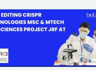 RCB Project JRF Post New
