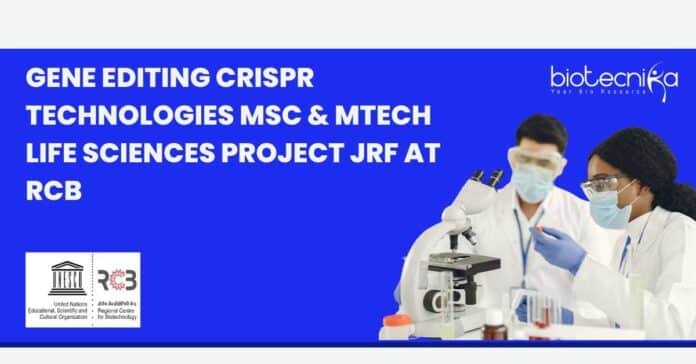 RCB Project JRF Post New