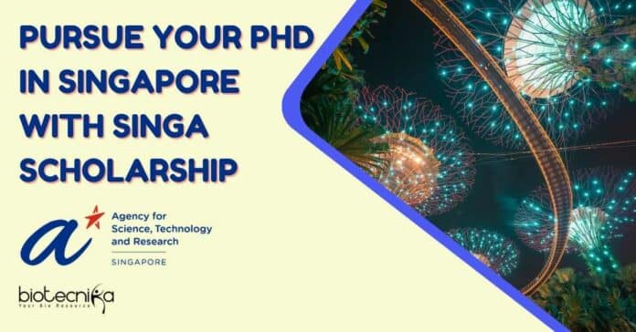 SINGA 2023