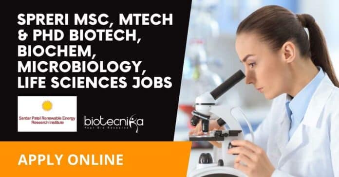 SPRERI Jobs