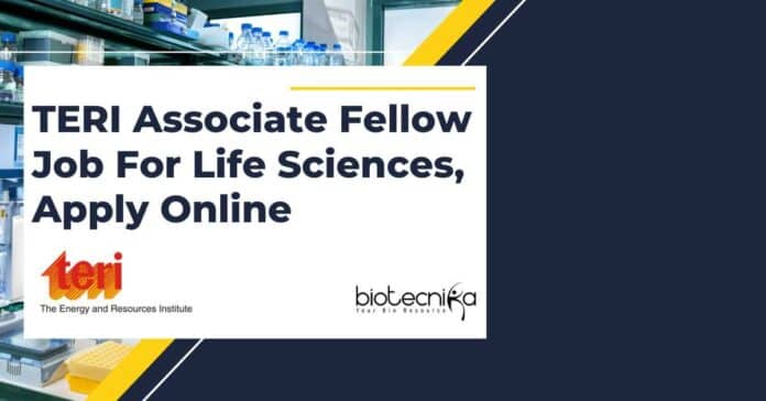 TERI Associate Fellow Job