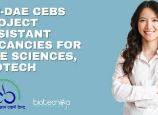 UM-DAE CEBS Project Assistant