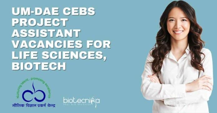 UM-DAE CEBS Project Assistant