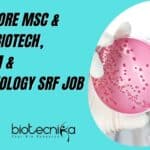 VIT Vellore SRF 2022