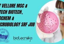 VIT Vellore MSc & MTech Biotech, Biochem & Microbiology SRF Job VIT Vellore SRF 2022