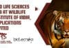 PhD Life Sciences Job at Wildlife Institute of India, Applications Invited WII PhD 2022 Job